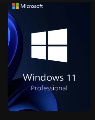 Windows 11 Pro License OEM 64 bit
